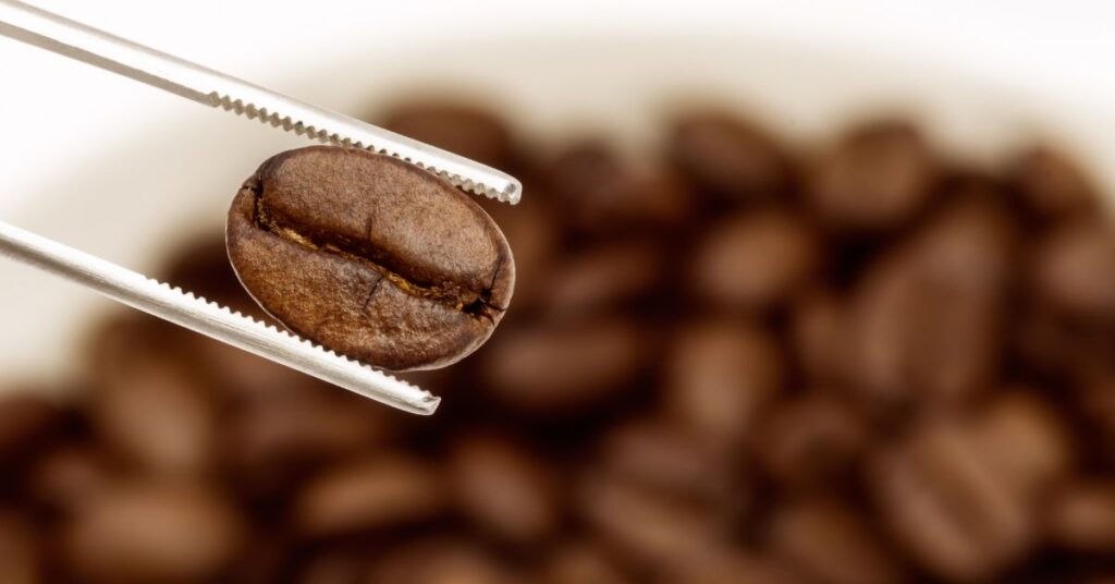 Explorando el café de especialidad: qué lo distingue